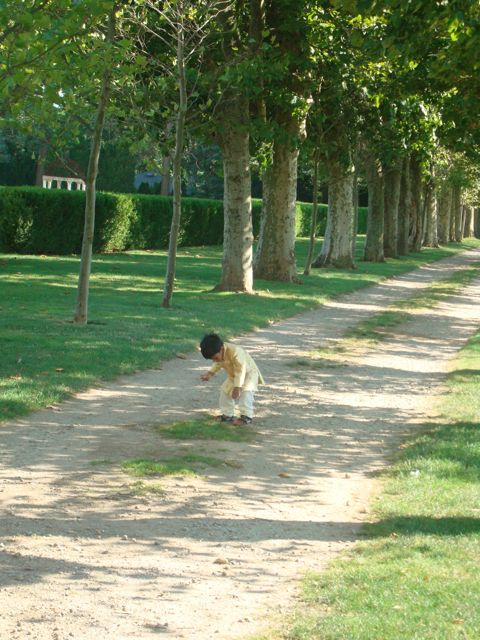 webassets/53.jpg